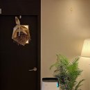 까미컴퍼니 이미지