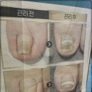 아우룸79뷰티네일 이미지