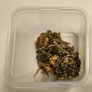 오밀당 | 경북도청 오밀당 밀키트 조리 후기