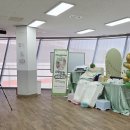 단짝 | 울산 산모교실 꼭 참여해야 되는 단짝 맘살롱 후기