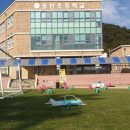 몽탄초등학교 이미지