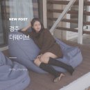 더웨이브 | 감포펜션 경주 더웨이브 후기, 바다 바로 앞 감포 오션뷰 숙소