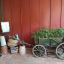 승복농장 이미지