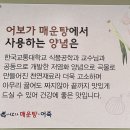 어보가매운탕