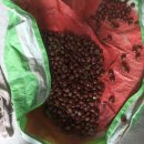 진보모터스 이미지