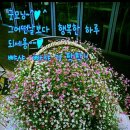 독정로 네이버블로그