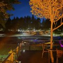 펫.낭만살롱 이미지