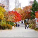 엘림교회