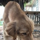 쿨스타스 이미지