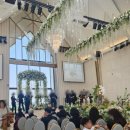 높은들가든 | 수원 밝은 웨딩홀 "더마레보" 후기 (주차 / 뷔페 / 실내가든ST)