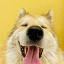 가은동물농장 이미지