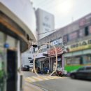 스시마코토 이미지