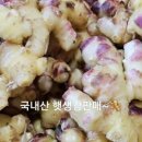 싱싱한 야채 청과 이미지