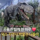 덕소자연사박물관 | “공룡과 함께한 하루&#34;, 남양주 가성비 좋은 덕소 자연사 박물관 나들이!