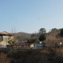 세계명견 감곡켄넬 이미지