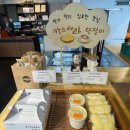 영주 부석사 무량수전 | 안동영주 여행 3일차 1편_영주 부석사 무량수전, 소수서원, 태극당, 정도너츠