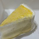 [25년 2분기] 저녁요가 | 봄이 오는게 아니라 내가 봄에게 간다🌱