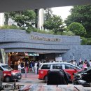 부바 | 홍콩 가족여행ㅣ빅토리아 피크, 부바검프(Bubba Gump) 솔직후기