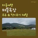 [하동 여행] 가볼만한곳 <해뜰목장> 먹이주기 체험 🐏