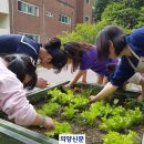 한탄강이야기협동조합 이미지