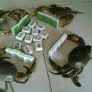 마작게임