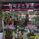 참피온스포츠.트로피 Daum카페
