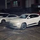 표선수제돈까스