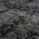 도천리 공룡 발자국 이미지