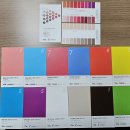 강사중 | [후기] 2년 넘게 만족 중! '스튜디오씨' 장윤희 강사님께 받은 인생 퍼스널 컬러 (봄웜 브라이트)