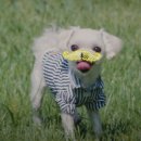 수제산업동물병원 이미지