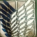 거인병원 | 프랭크버거 <진격의 거인 조사병단 망토 담요> 구매 후기