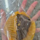 더arom:D | 부평 디저트 카페::아롬베이크 두바이쫀득쿠키 맛집