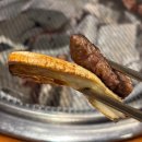 커피봇&얼음꽃 | 침산동 소고기집 추천 고기 9단 침산직영점 안창살 꽃갈빗살 제대로 맛본 후기