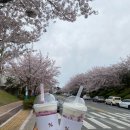 솔직후기]“역대급 블루베리 스무디” 창원 진해 풍호동 카페 디저트 맛집 추천 텐퍼센트커피 진해구청점