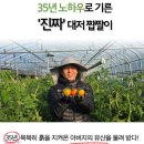 대저상회 - 함평군 곤재로 388 | 대저상회