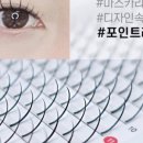 래쉬티비 이미지