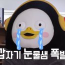 연세바른약국 이미지