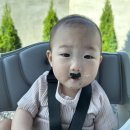 안나정헤어샵 | [여행]제주도:) 10개월아기와2박3일제주도여행 2