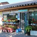 이백면 효기마을 이미지