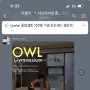 아울콜렉티브