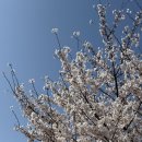 광양축구전용구장 축구전용2구장 | 인천축구전용경기장 인천숭의구장 테이블석 E2구역 C열 올해 첫 직관후기, 신포동 카마먹고 자유공원...