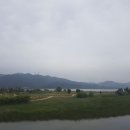 내마음의 정원 이미지