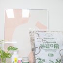 닥터조 분갈이 하고 반려식물 필수품 알비료 벅스킬 식물영양제
