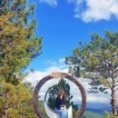 모다먹거리 조형물 | 하나투어 나트랑달랏패키지후기 - 모녀베트남여행 3일차(2)(랑비엔 고원 &amp;랑비엔 지프차 투어 - 사랑의...