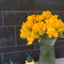 봄꽃에서첫눈까지 | 꽃배달추천 어제의소녀 프리지아꽃다발 생화주문 솔직후기