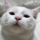 [2605] 오월은 가정의 달, 사랑이 넘치는 달