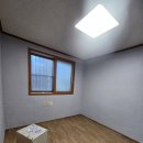 벽지 뜯는 강아지&가람 이미지