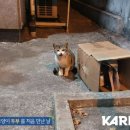 성산구 ⓒ-31 이미지