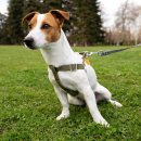 계양동물병원 이미지