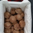 창선농장 이미지